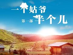 一个姑爷半个儿 第一部第12集