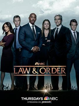 法律与秩序 第二十二季第20集