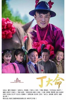 丁大命第29集