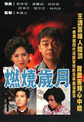 燃烧岁月国语第12集