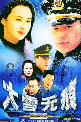 大雪无痕第13集