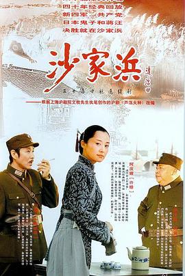 沙家浜2006第24集