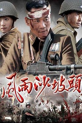 风雨沙坡头第13集