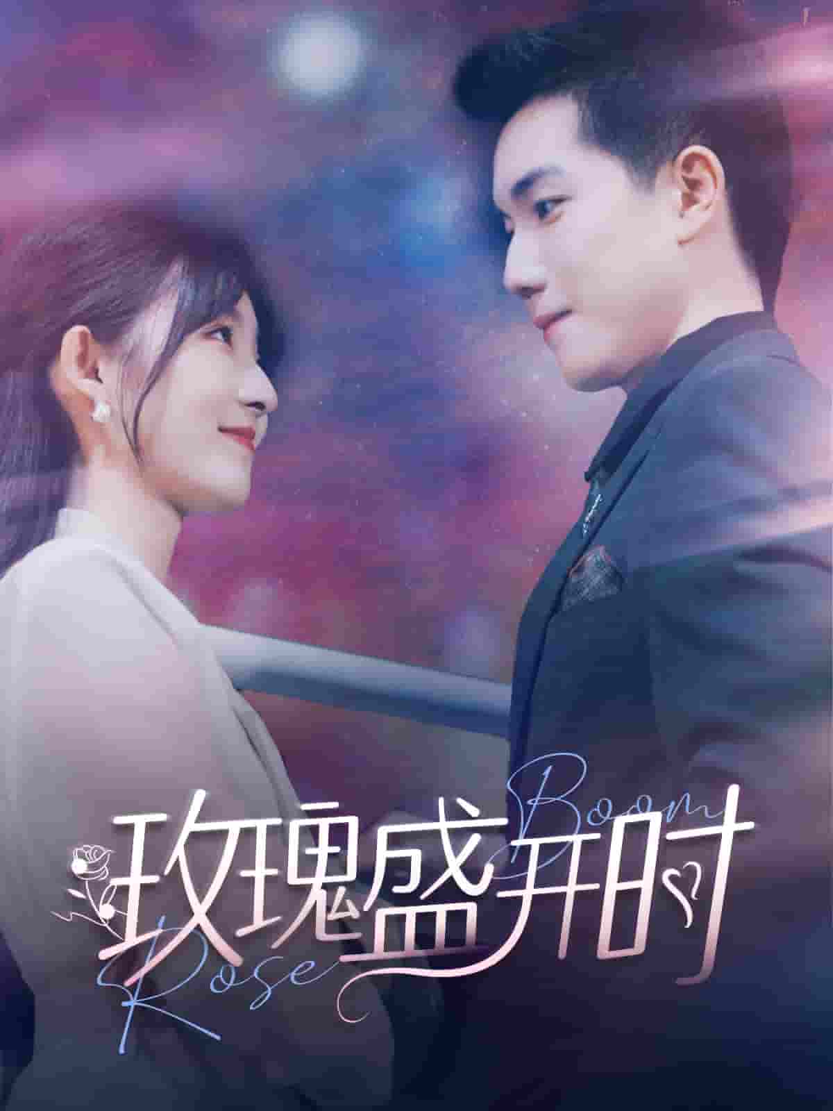 玫瑰盛开时第21集