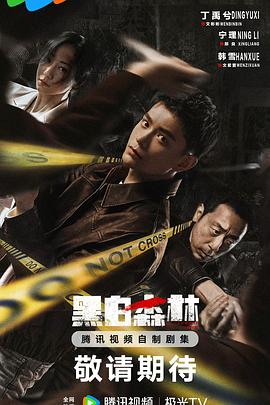 黑白森林剧版第01集