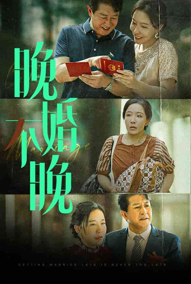 晚婚不晚第30集(大结局)