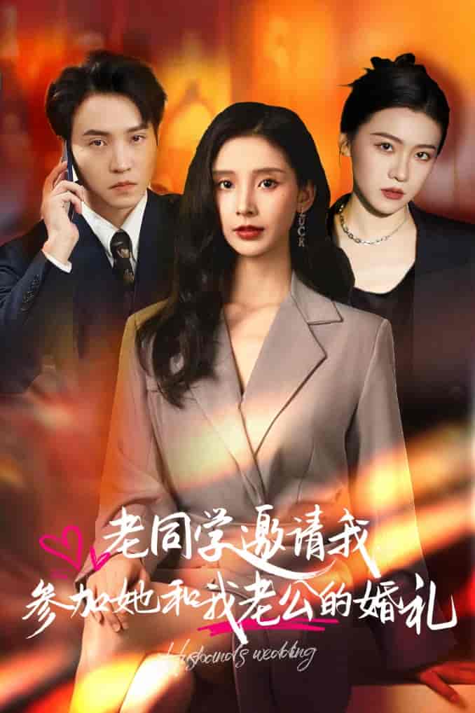 老同学邀请我参加她和我老公的婚礼第27集