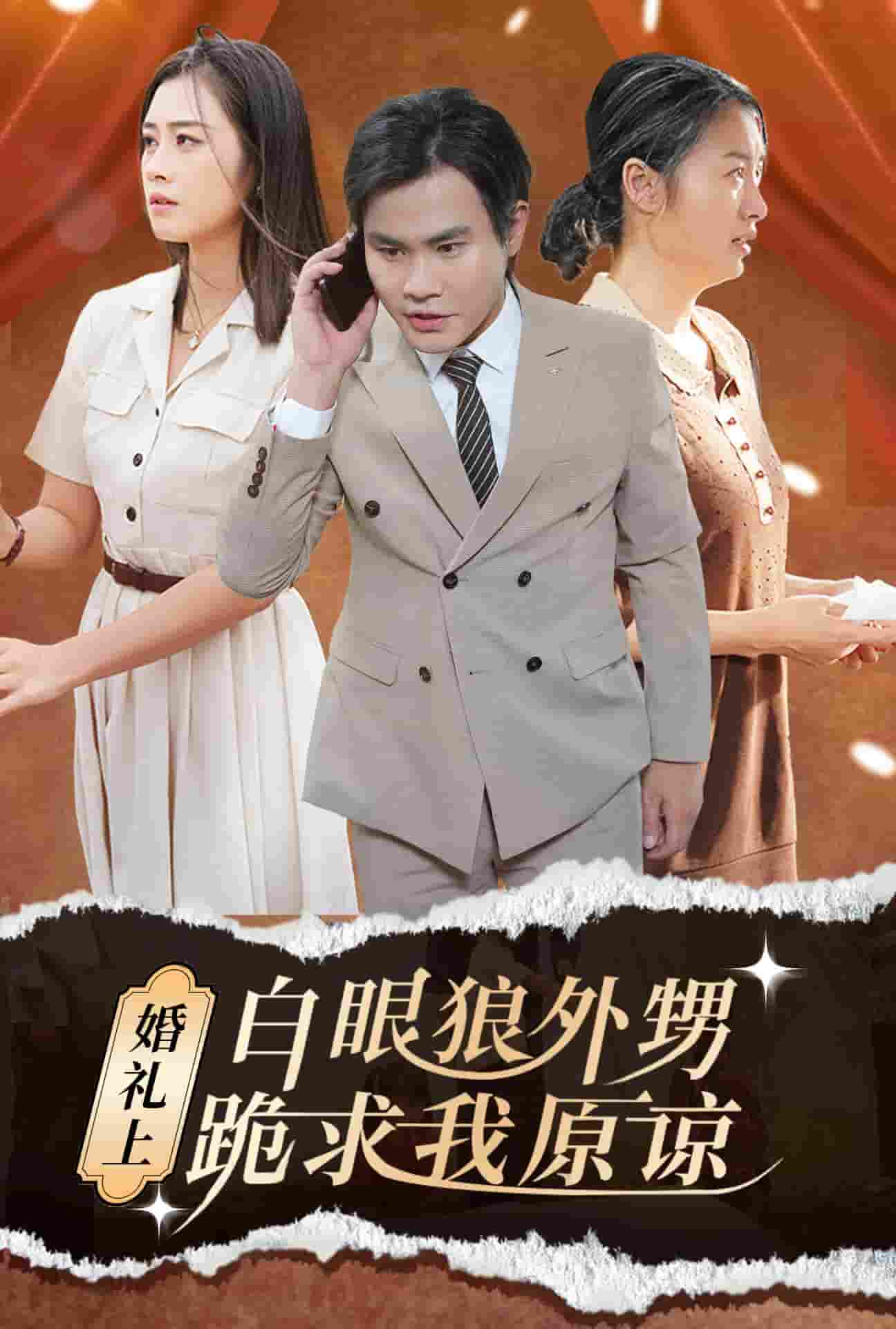 婚礼上白眼狼外甥跪求我原谅第04集