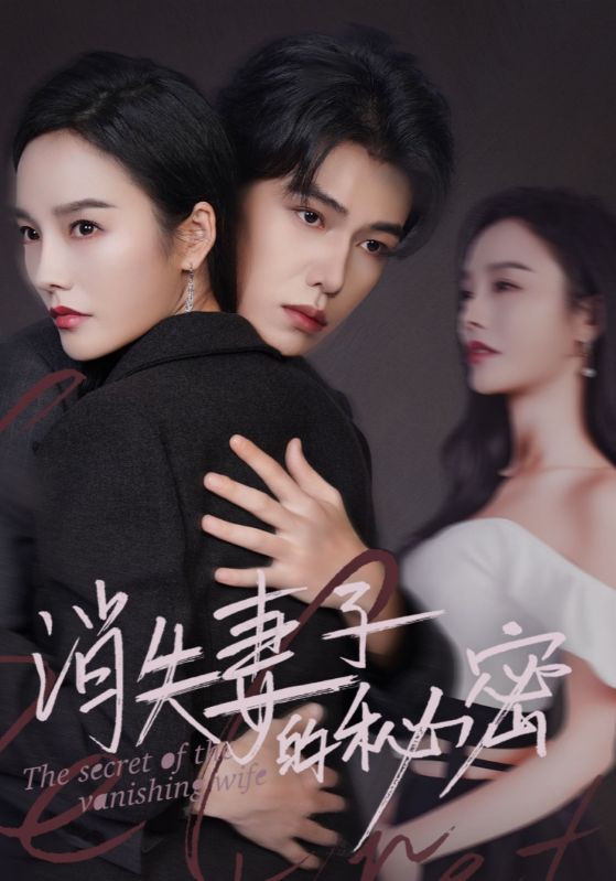 消失妻子的秘密第30集