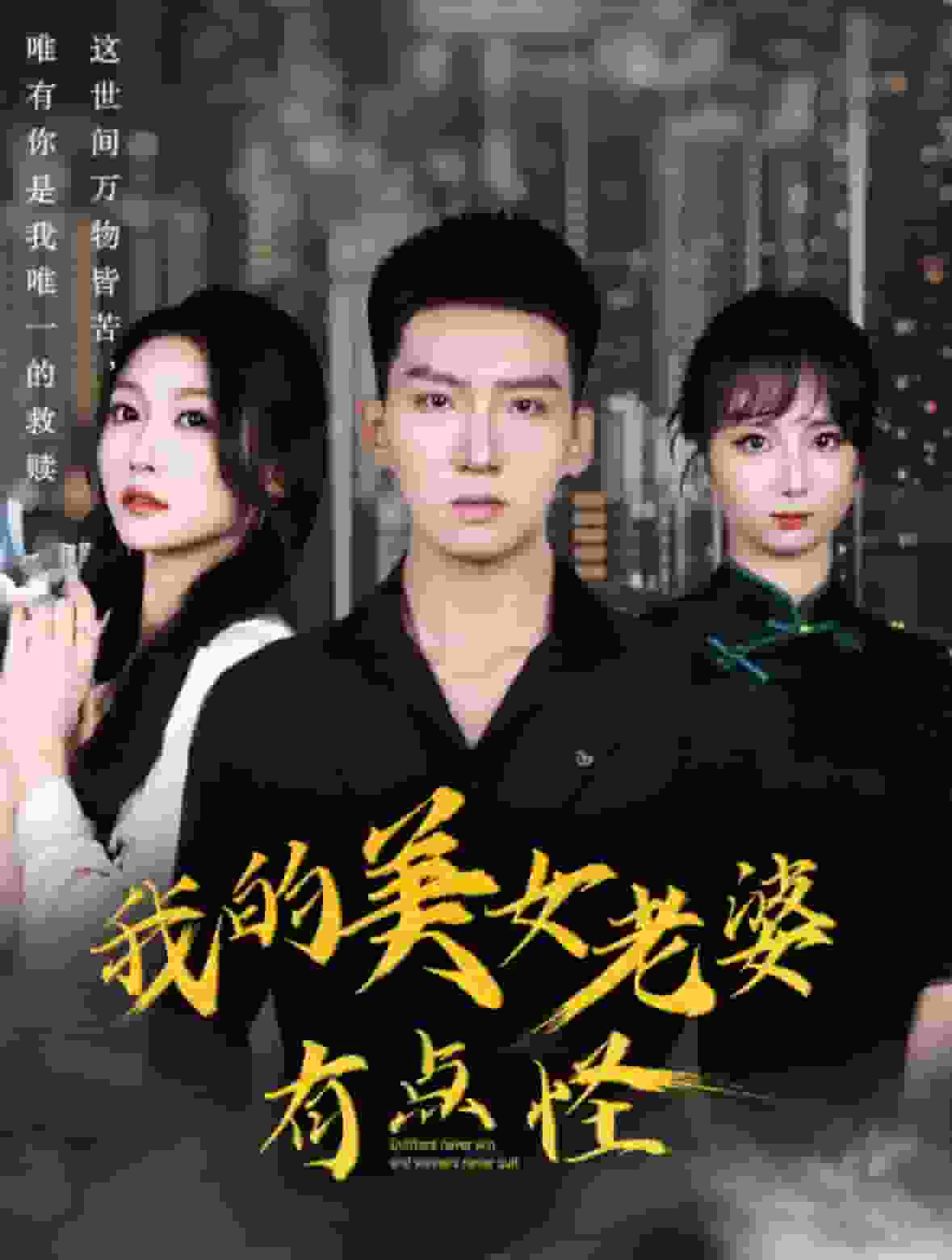 我的美女老婆有点怪第16集