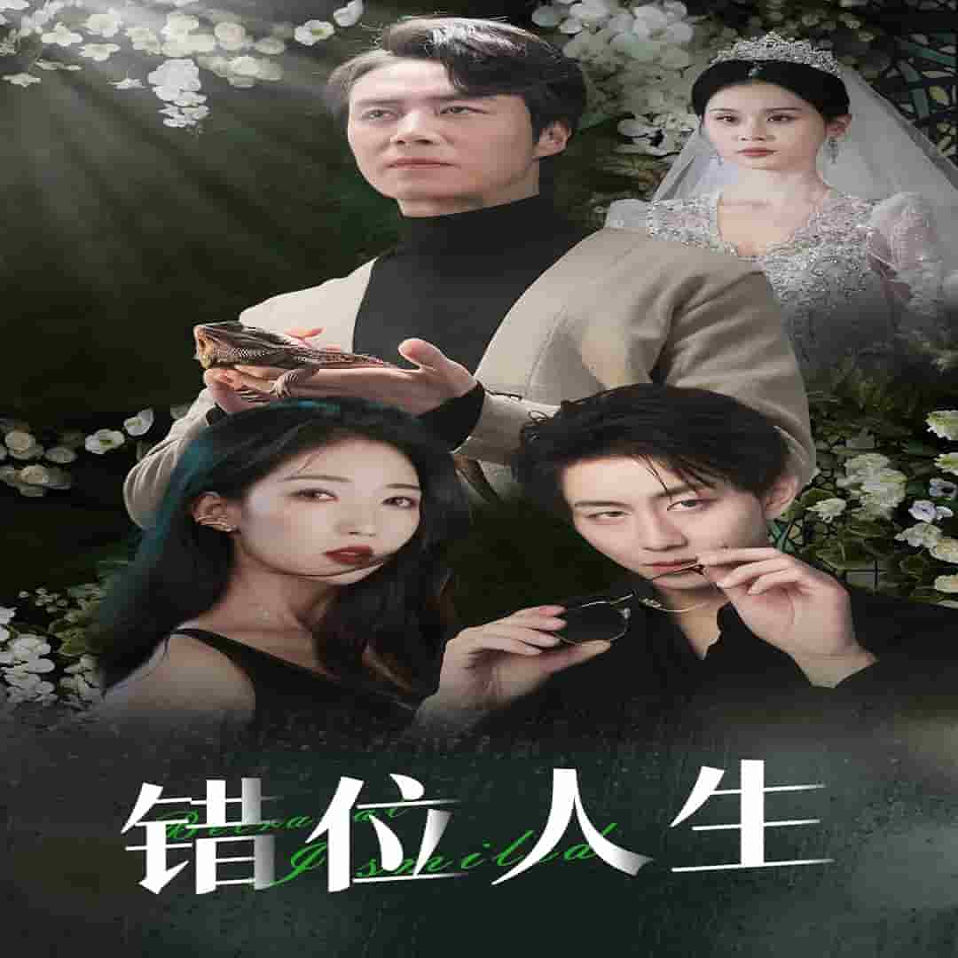 养大他人的儿子后我笑了第15集