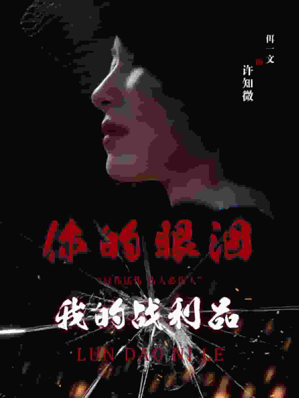 你的眼泪我的战利品第45集