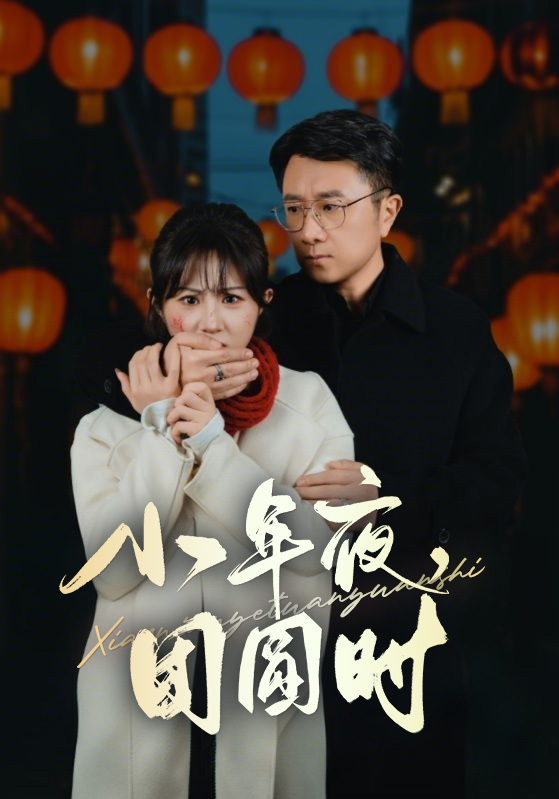 小年夜万家灯火没有我第27集