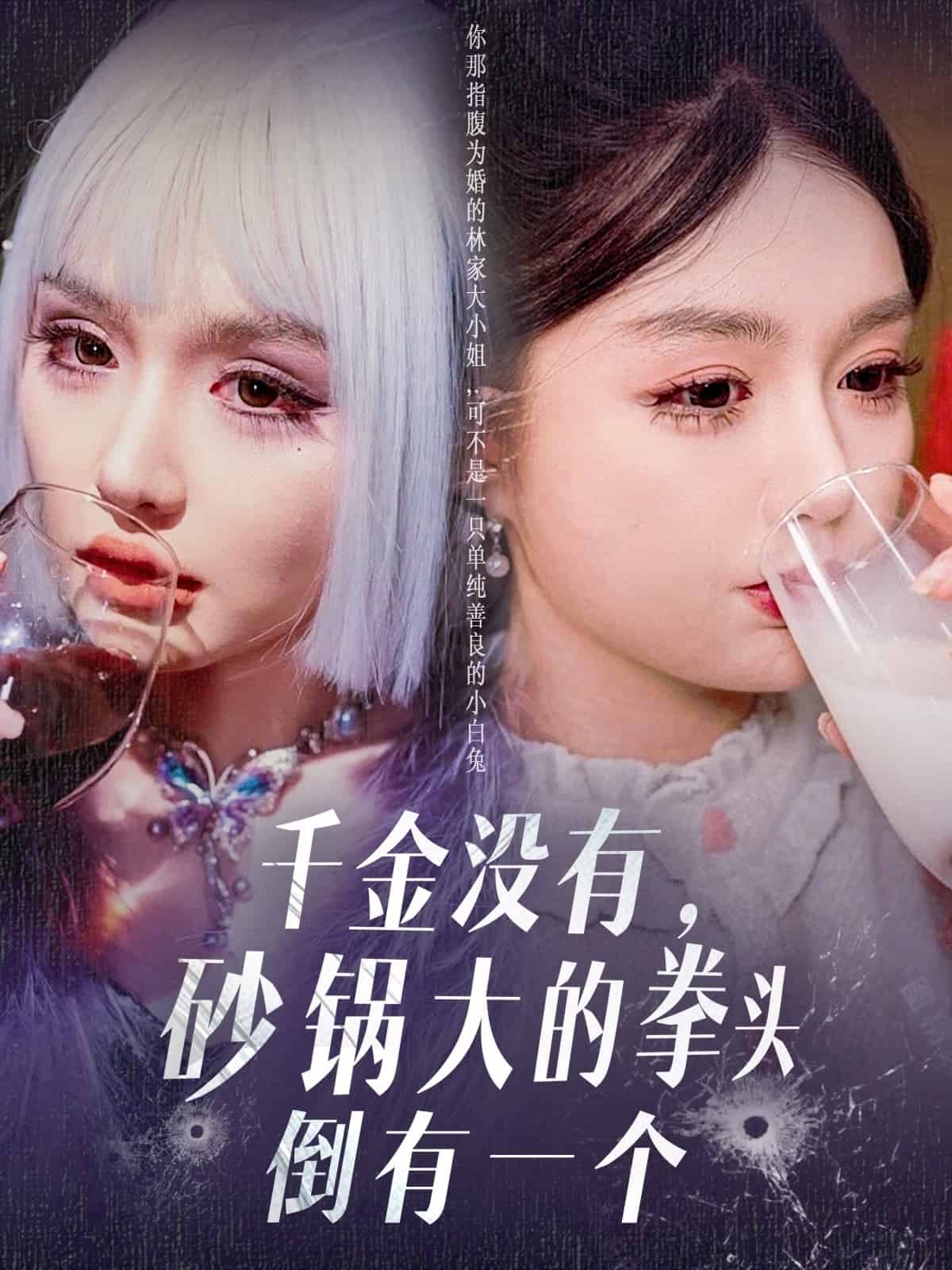 千金没有，砂锅大的拳头倒有一个(全集)