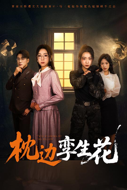 枕边孪生花第27集