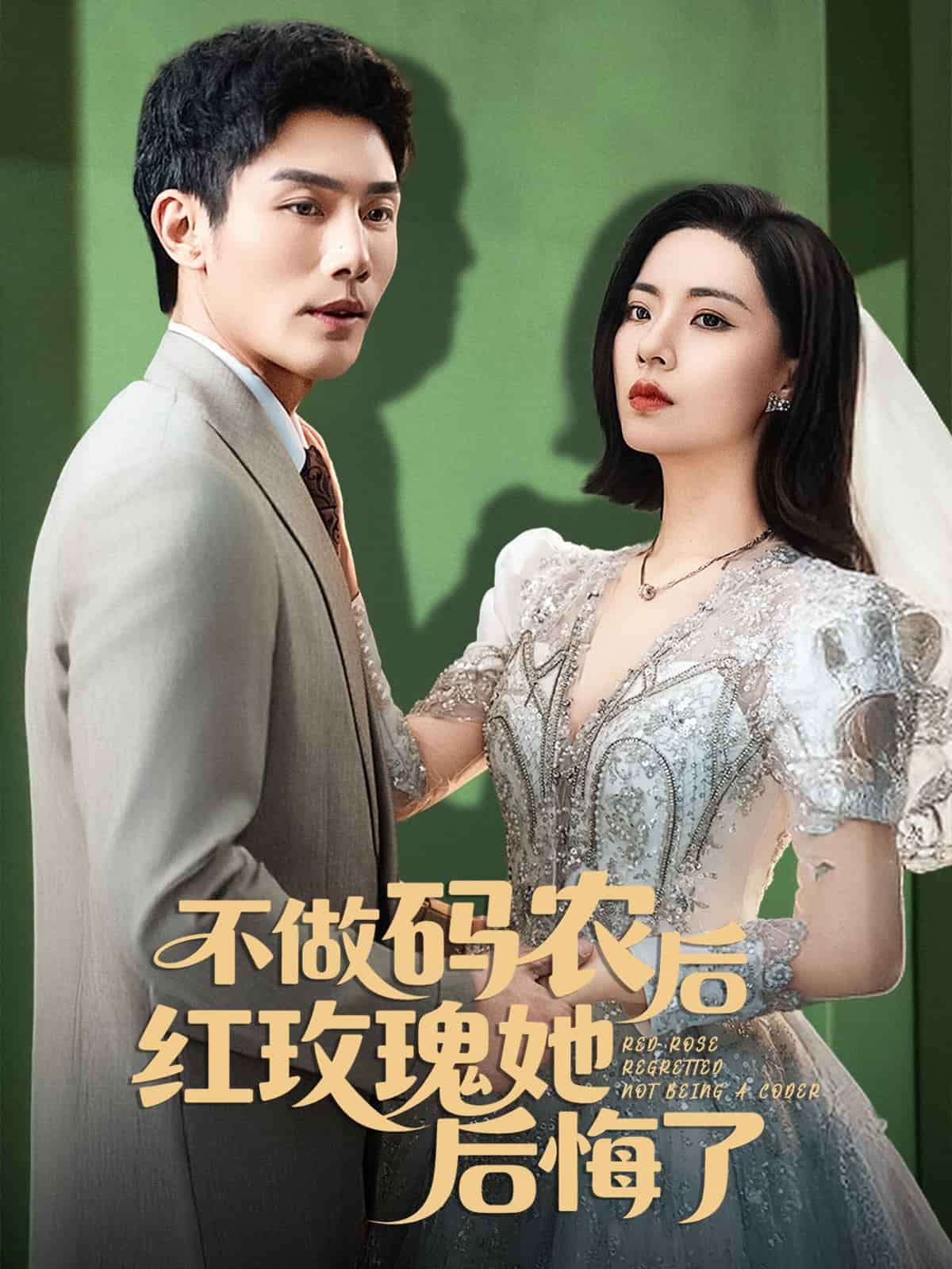 不做码农后红玫瑰她后悔了第26集