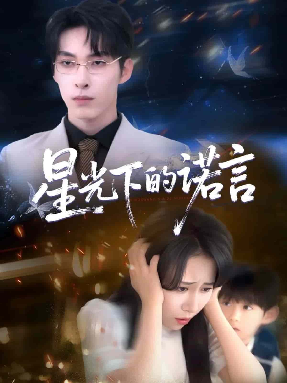 星光下的诺言第19集