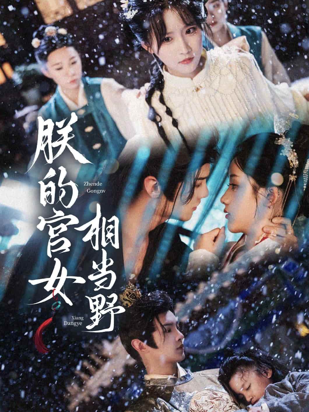朕的宫女相当野第01集
