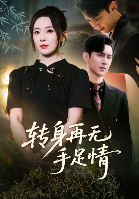 转身再无手足情第01集