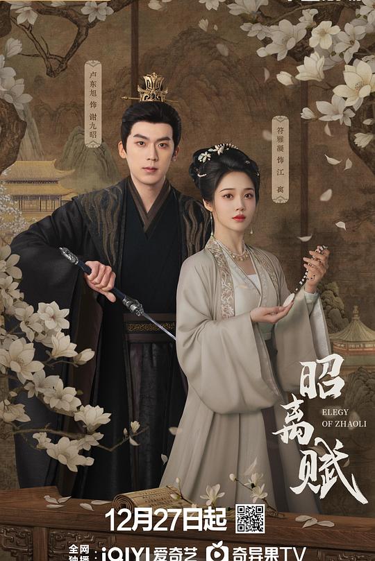 昭离赋第13集