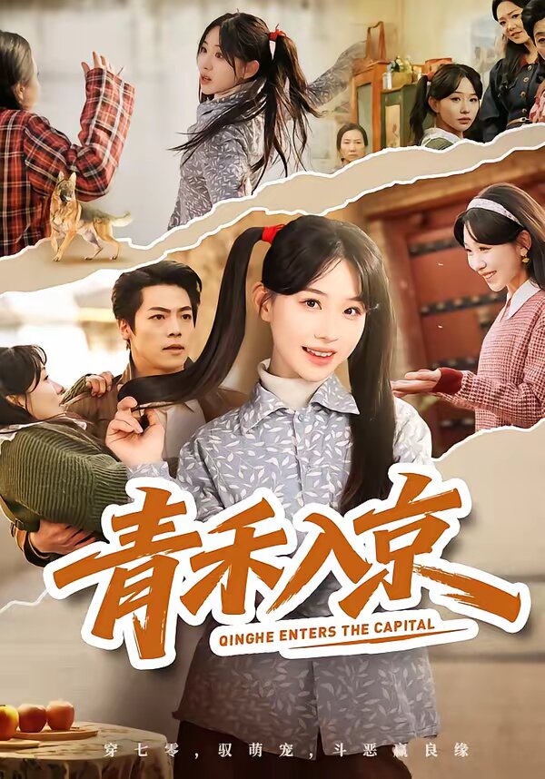 青禾入京第20集