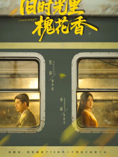 旧时光里槐花香第52集