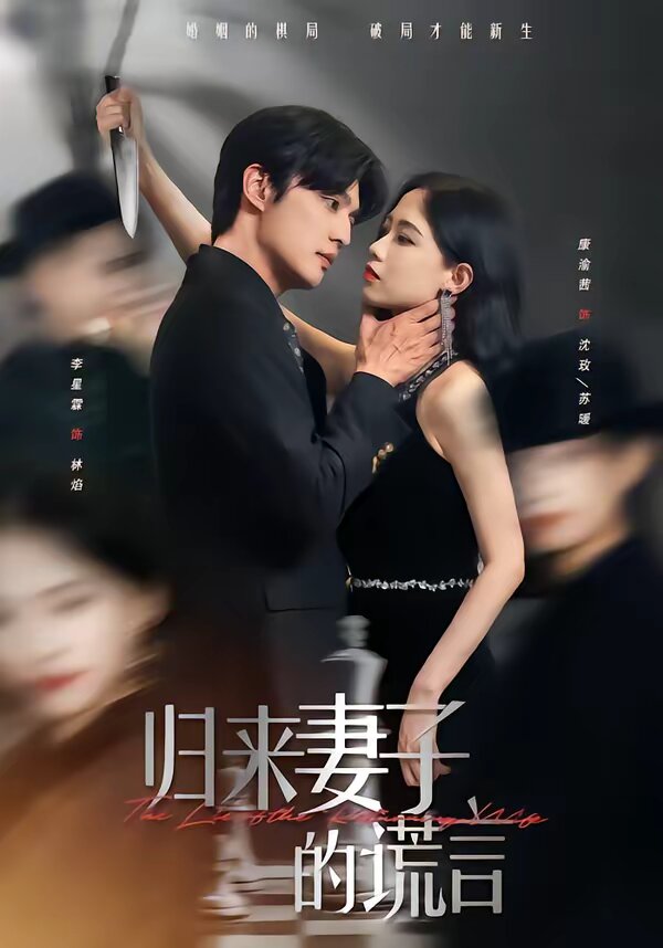 归来妻子的谎言第14集