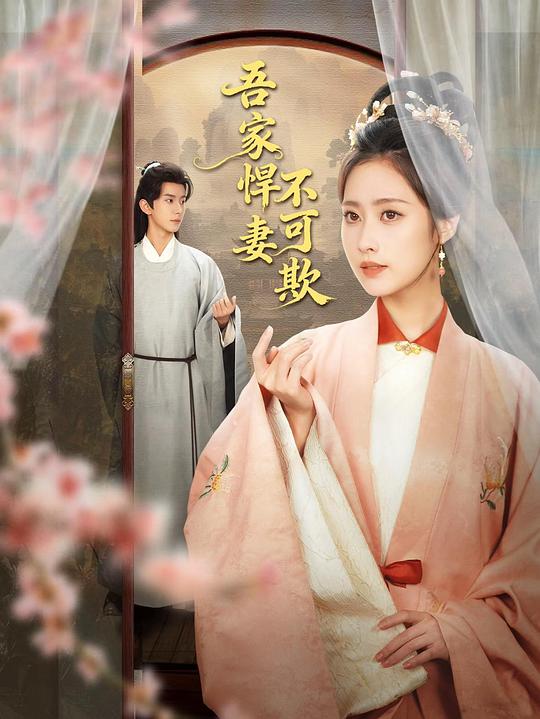 吾家悍妻不可欺第13集