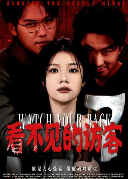看不见的访客第37集
