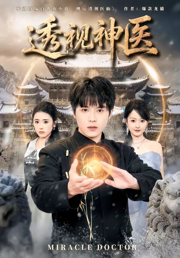 透视神医第42集