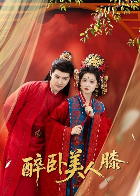 醉卧美人膝第51集