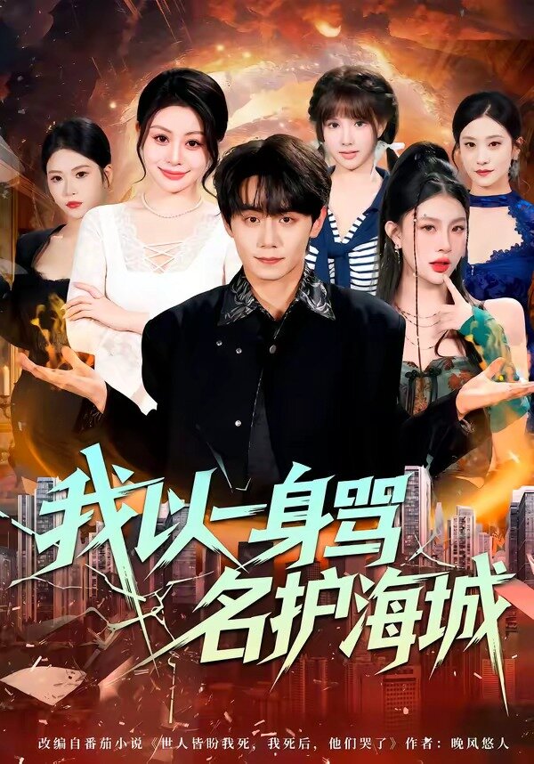 我以一身骂名护海城第01集